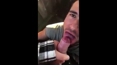 Cute Cock Sucker And Cum Eater