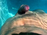 Hands free cumshot swimming pool