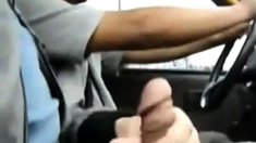 Bigcockflasher - Flashing the taxi driver