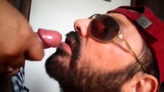 Bezerro carioca mamando os machos