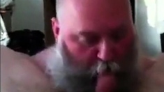 Bearded Dad Sucking Really Good