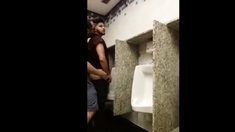 breeding a slut in a Public Bathroom