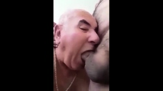 Bear fucks grandfather's mouth