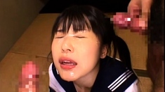 Amateur BJ Oral POV Blowjob Cumshot