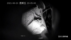 Hot amateur hidden cam