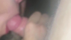 Amateur girlfriend homemade pov blowjob