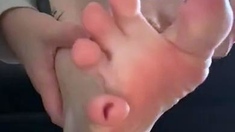 Romy Feet aka romyfeet OnlyFans - Domination soft en