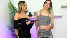 Big Tits Tranny Strokes Her Big Cock