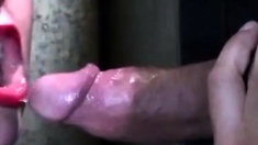 Glory Hole Blowjob by Amateur MILF