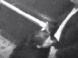 Couple gets kinky in the elevator