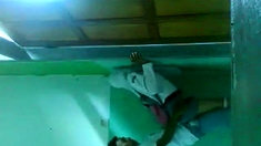 Sman Cibr Goyang