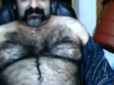 Big hairy bear and hairy body